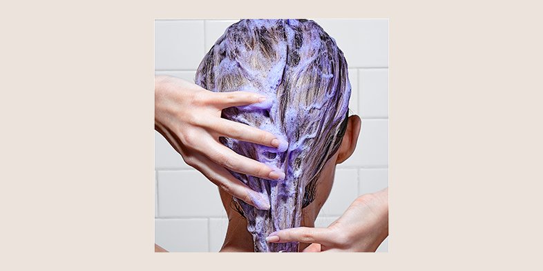 Purple shampoo on hair in shower